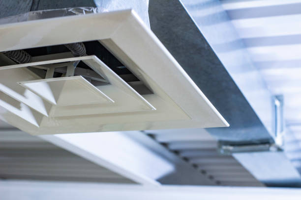 Best Air Duct Mold Removal  in East Northport, NY